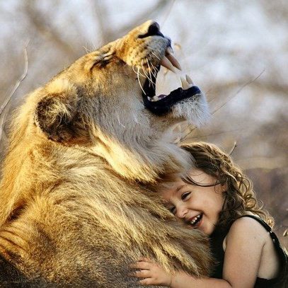 learning-from-leo